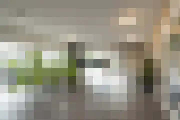 Lavendelhof 15 Oegstgeest thumbnail 5