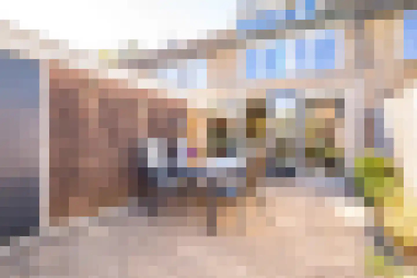 Lavendelhof 22 Nieuwegein thumbnail 40