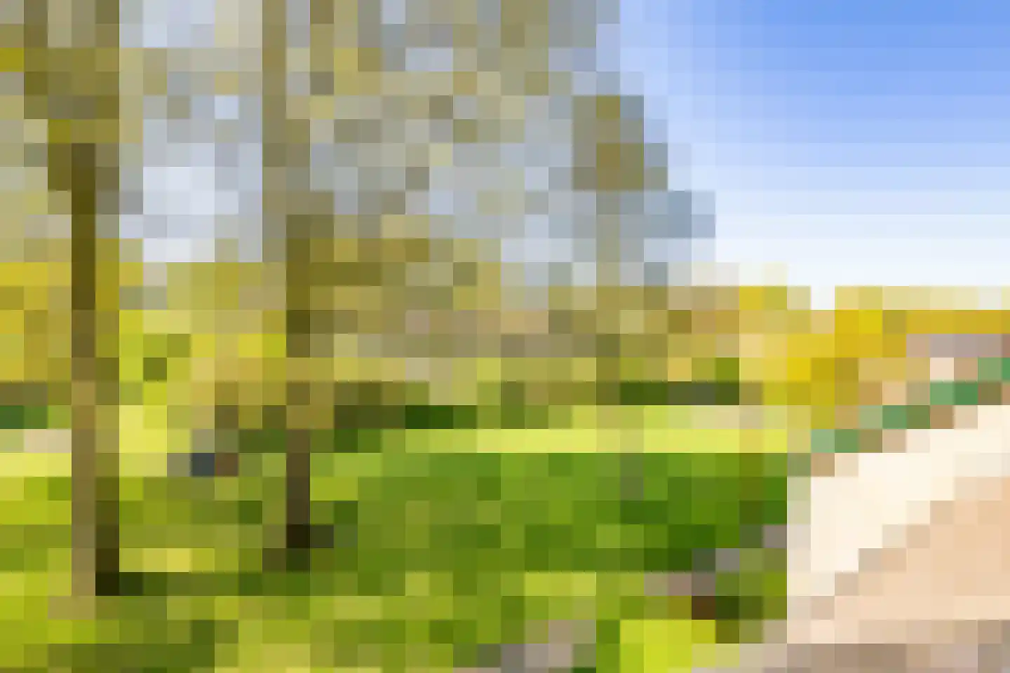 Lavendelhof 22 Nieuwegein thumbnail 41