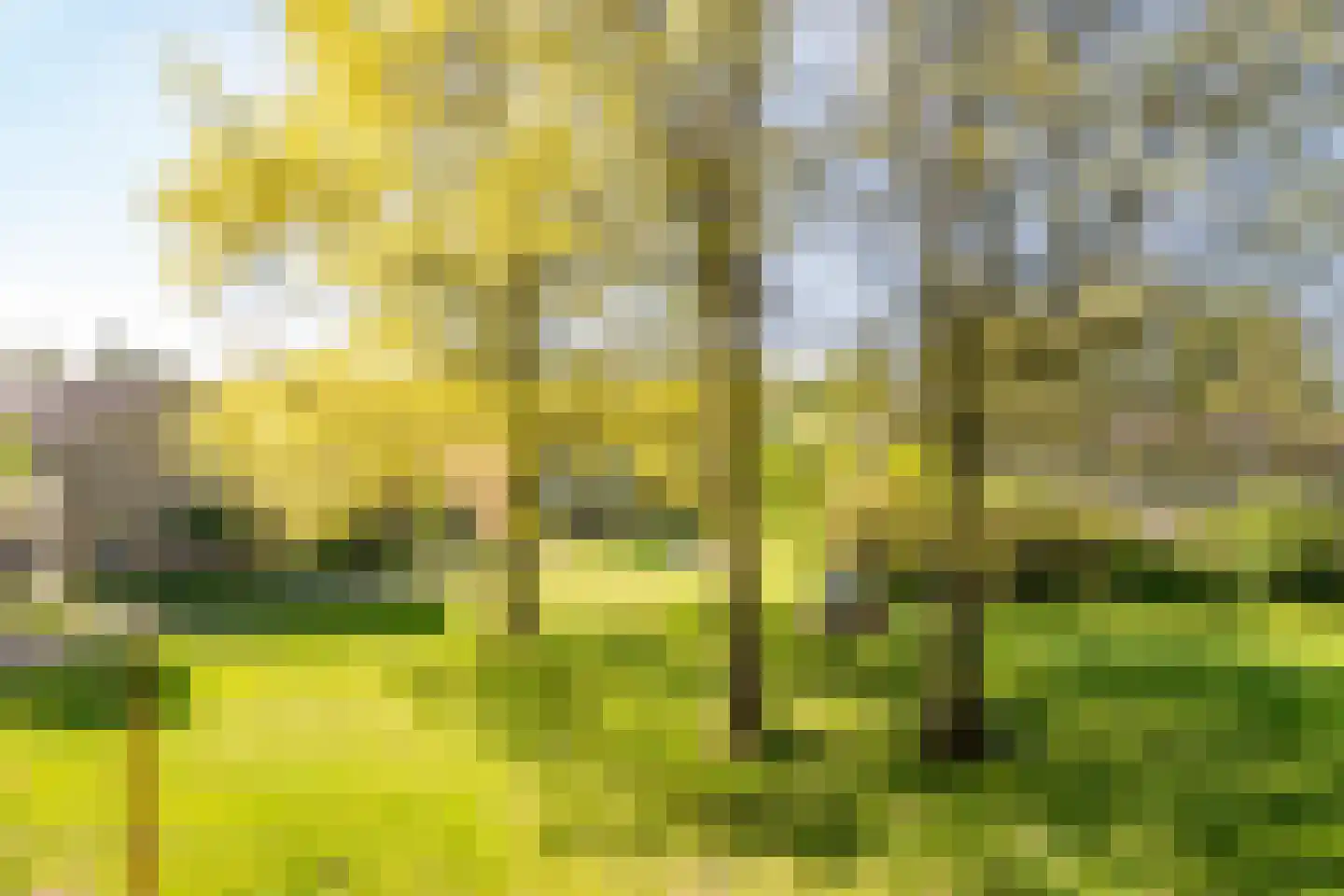 Lavendelhof 22 Nieuwegein thumbnail 42