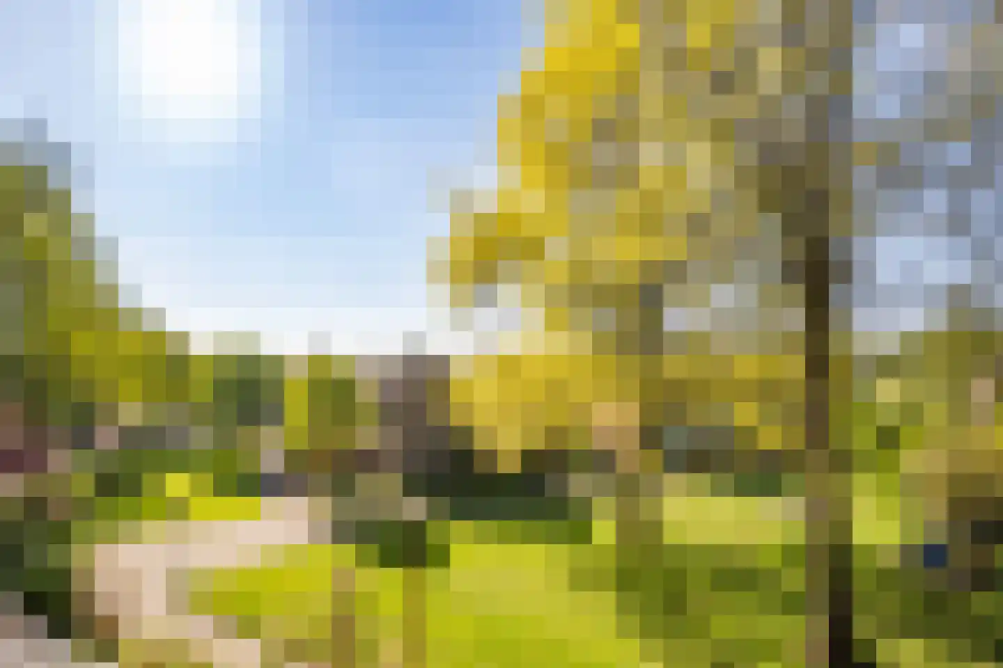 Lavendelhof 22 Nieuwegein thumbnail 43