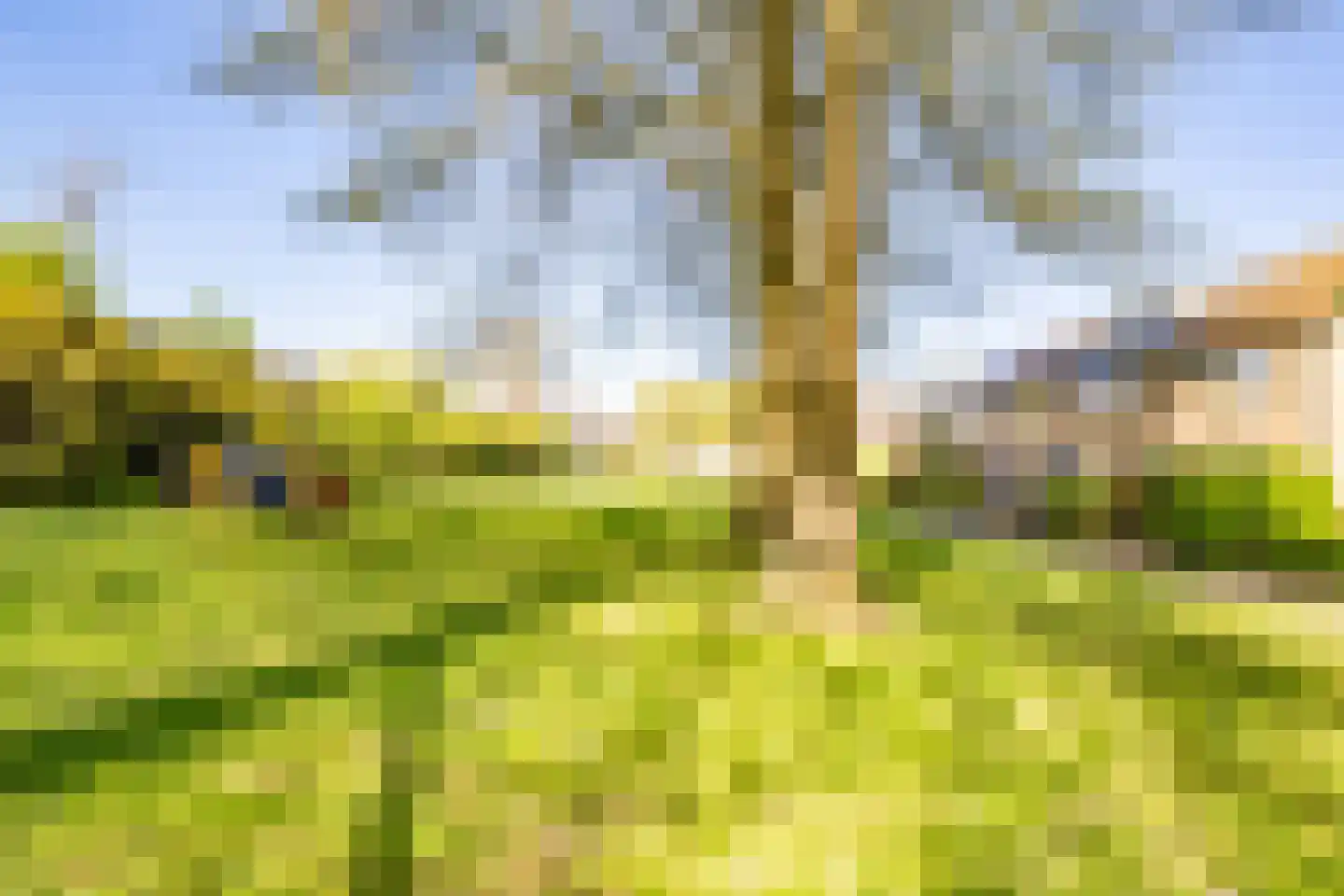 Lavendelhof 22 Nieuwegein thumbnail 46