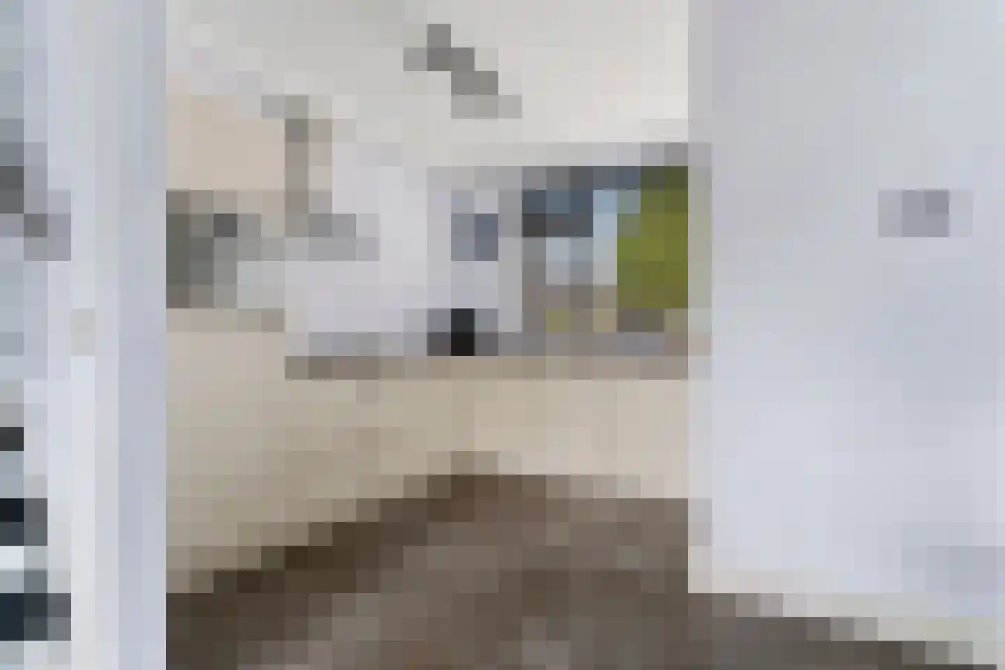 Lavendelhof 24 Schijndel thumbnail 11