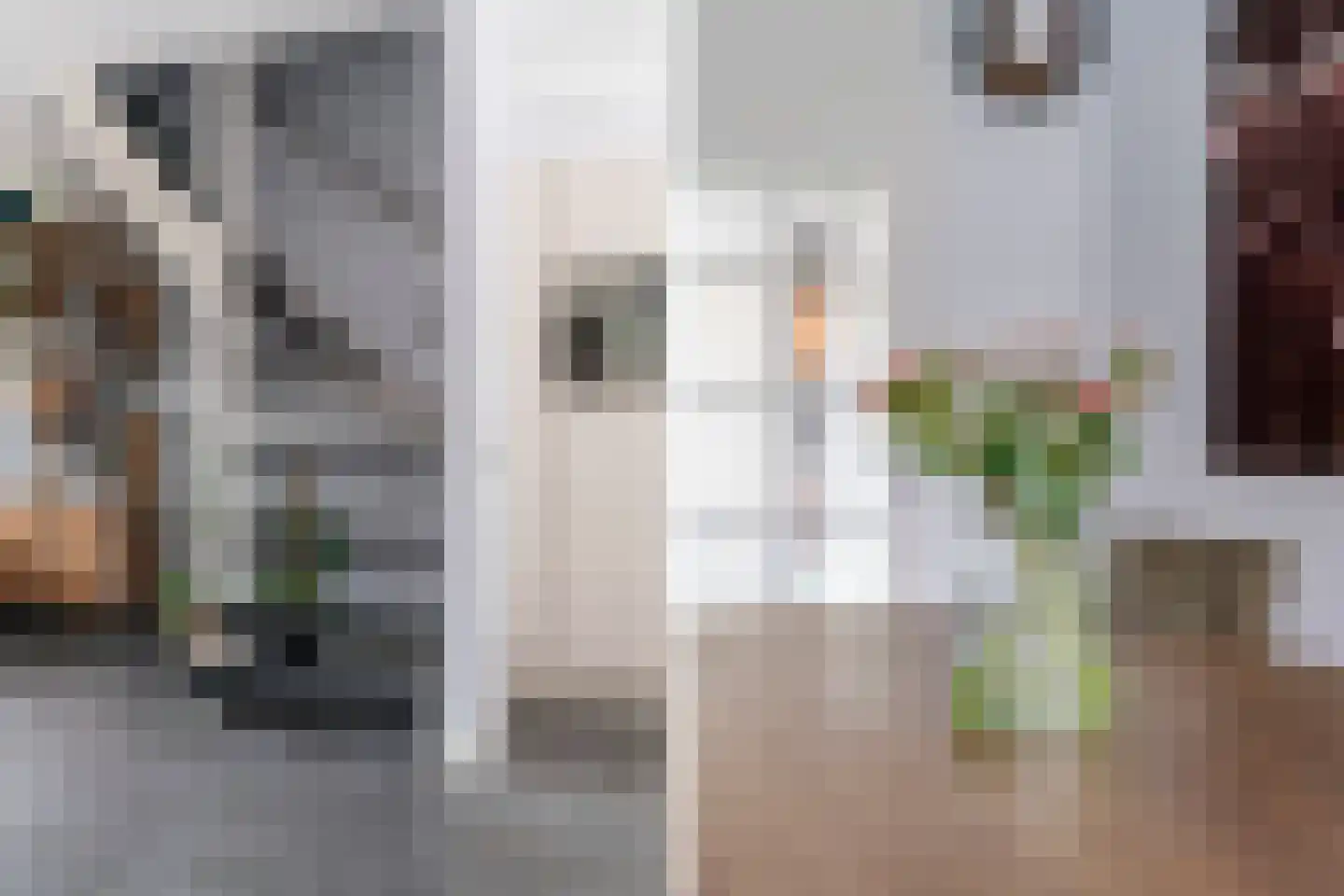 Lavendelhof 24 Schijndel thumbnail 20