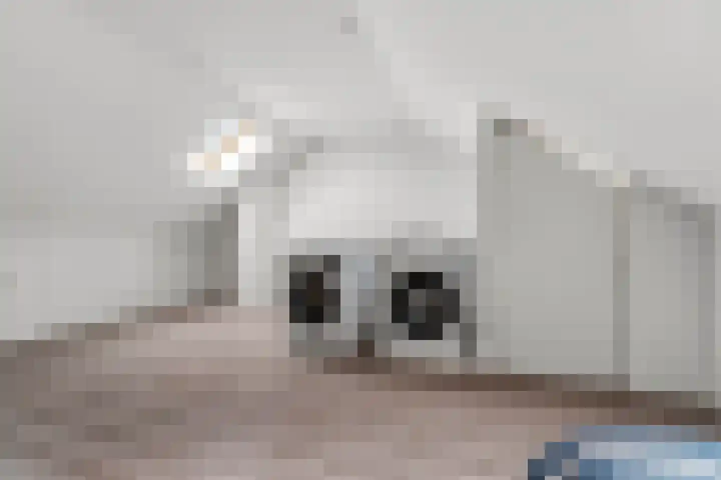 Lavendelhof 24 Schijndel thumbnail 30