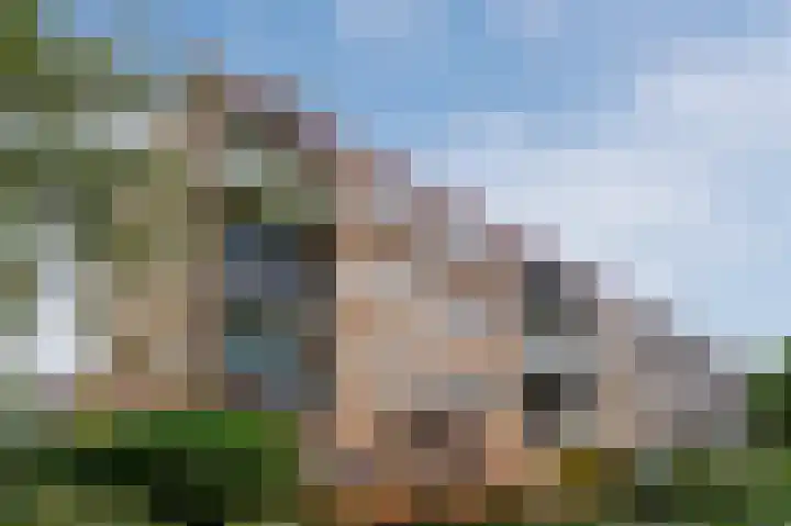Lavendelhof 29 Noordwijk thumbnail 33