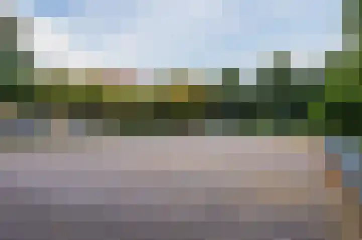 Lavendelhof 29 Noordwijk thumbnail 35