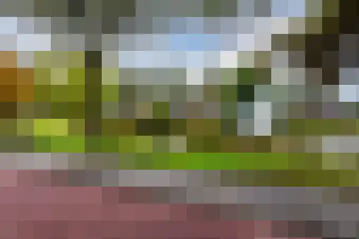 Lavendelhof 29 Noordwijk thumbnail 36