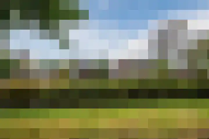 Lavendelhof 29 Noordwijk thumbnail 37