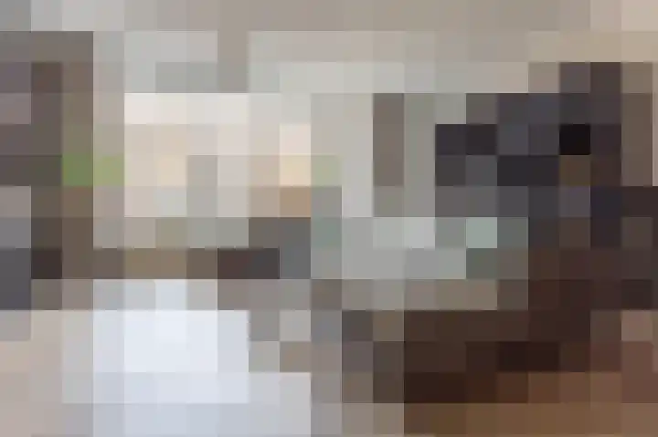 Lavendelhof 30 Schijndel thumbnail 4