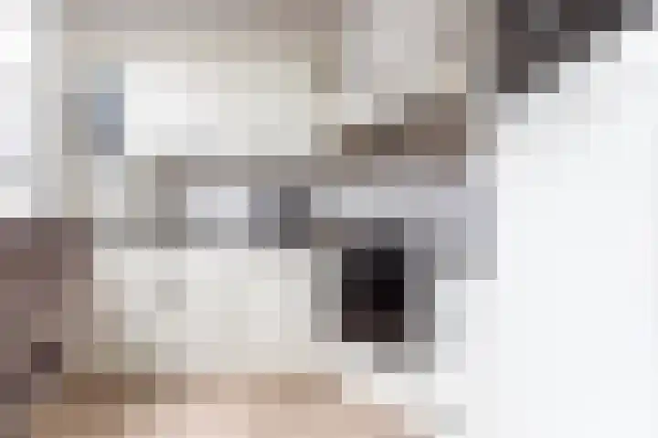 Lavendelhof 30 Schijndel thumbnail 8