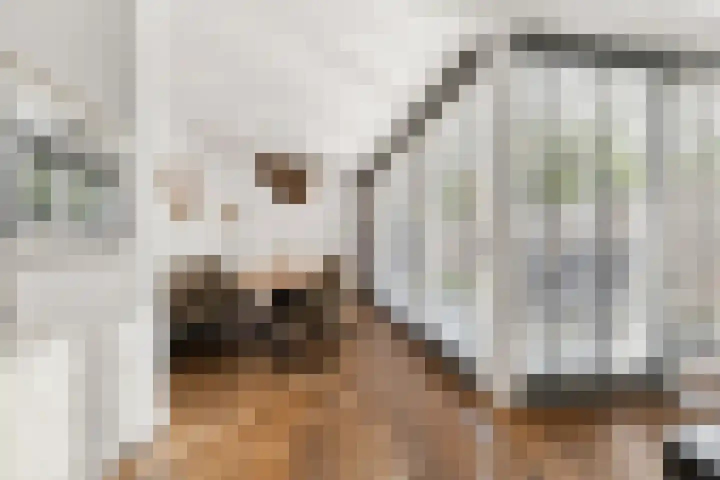 Lavendelhof 31 Oosterhout thumbnail 9