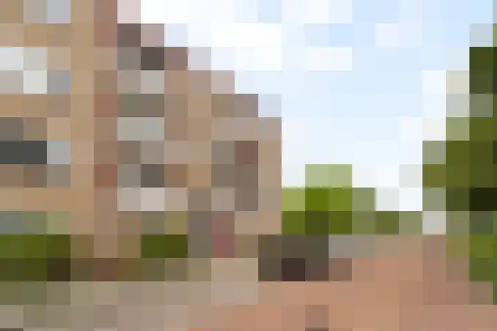 Lavendelhof 36 Noordwijk thumbnail 29