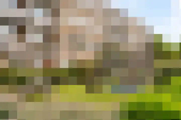 Lavendelhof 36 Noordwijk thumbnail 30