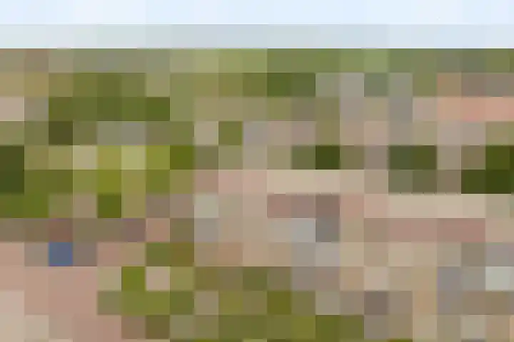 Lavendelhof 36 Noordwijk thumbnail 32