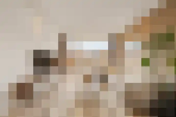 Lavendelhof 36 Noordwijk thumbnail 4