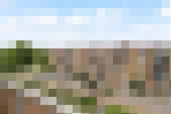 Lavendelhof 36 Noordwijk thumbnail 7