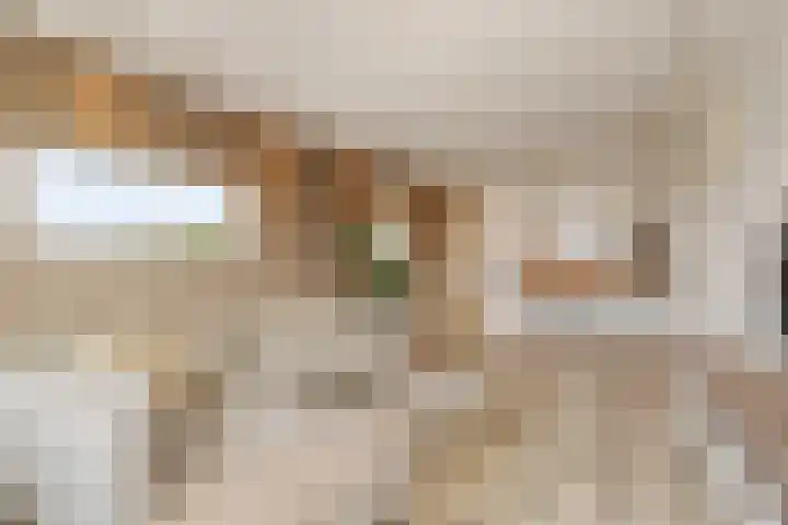 Lavendelhof 36 Noordwijk thumbnail 8
