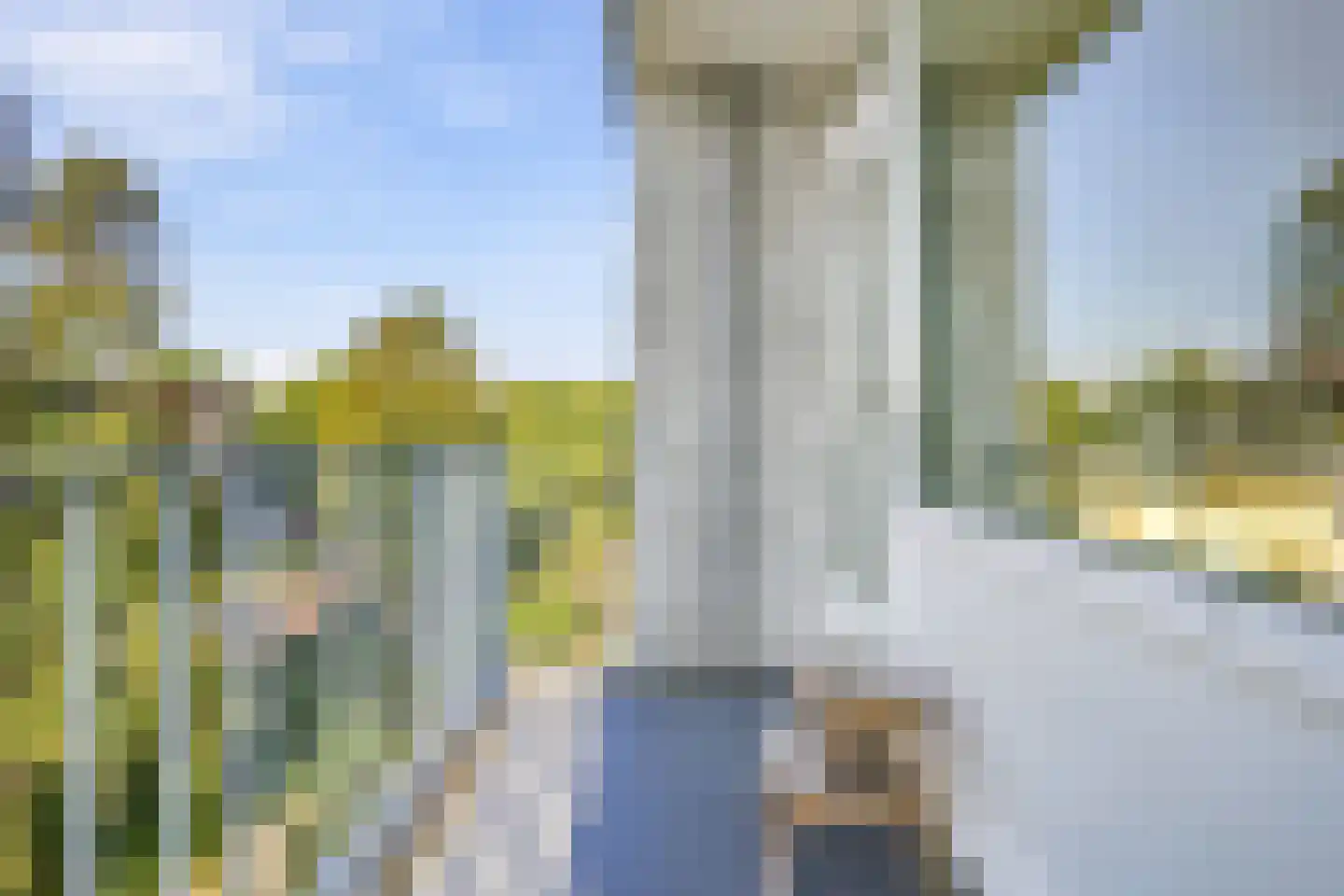 Lavendelhof 4 Noordwijk thumbnail 17