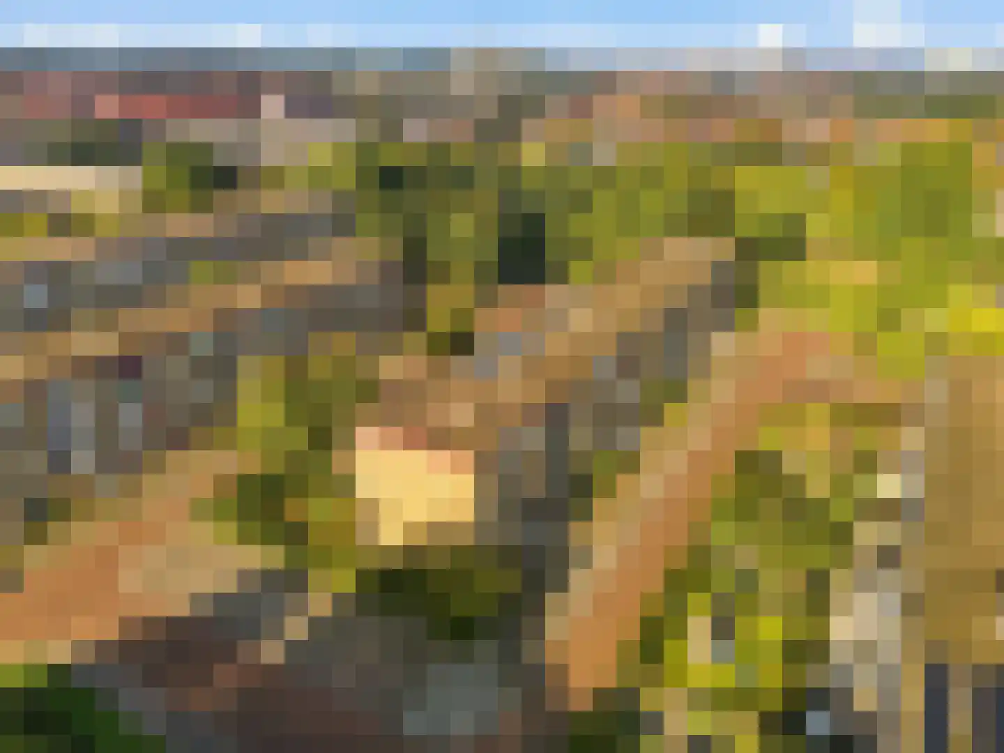 Lavendelhof 4 Noordwijk thumbnail 5