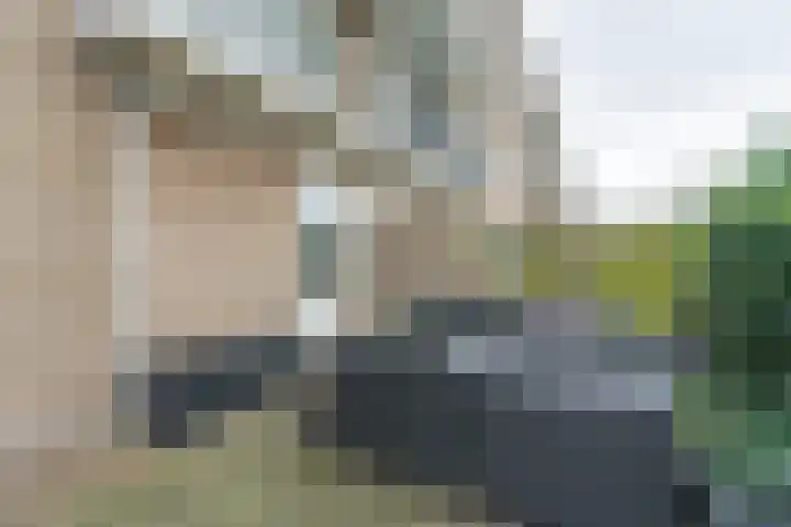 Lavendelhof 40 Noordwijk thumbnail 14