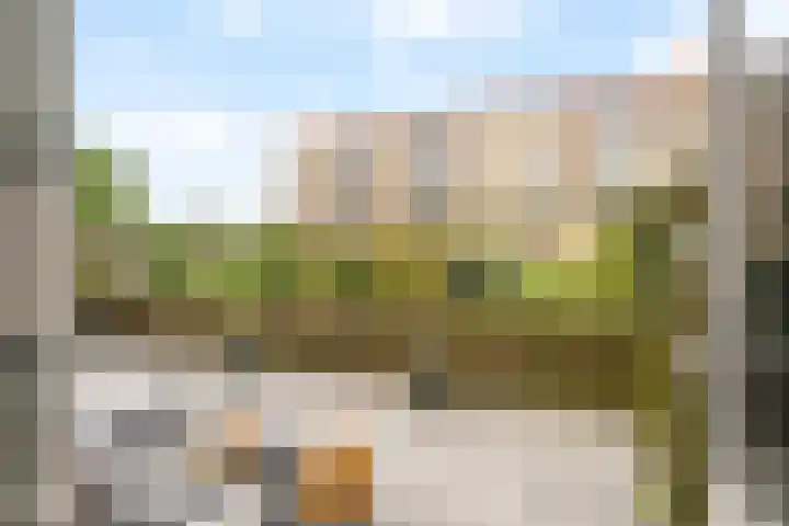 Lavendelhof 41 Noordwijk thumbnail 18