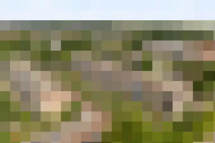 Lavendelhof 41 Noordwijk thumbnail 28