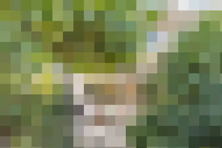 Lavendelhof 43 Oosterhout thumbnail 32