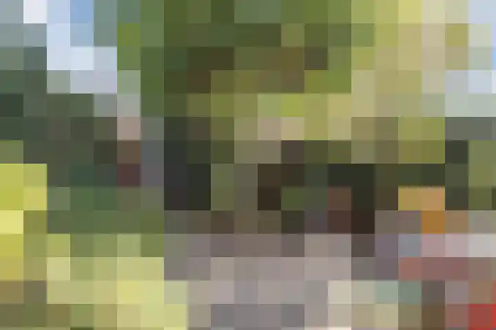 Lavendelhof 43 Oosterhout thumbnail 33