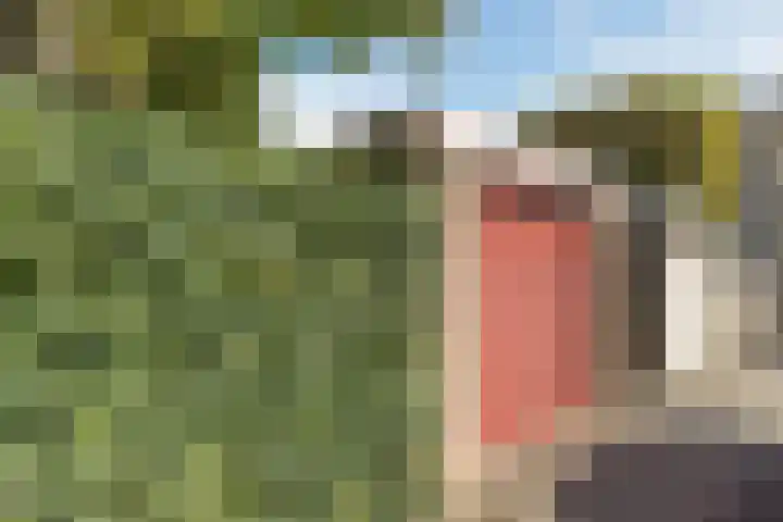 Lavendelhof 43 Oosterhout thumbnail 35