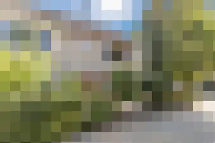Lavendelhof 43 Oosterhout thumbnail 38