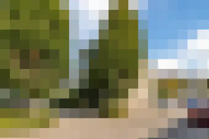 Lavendelhof 43 Oosterhout thumbnail 39
