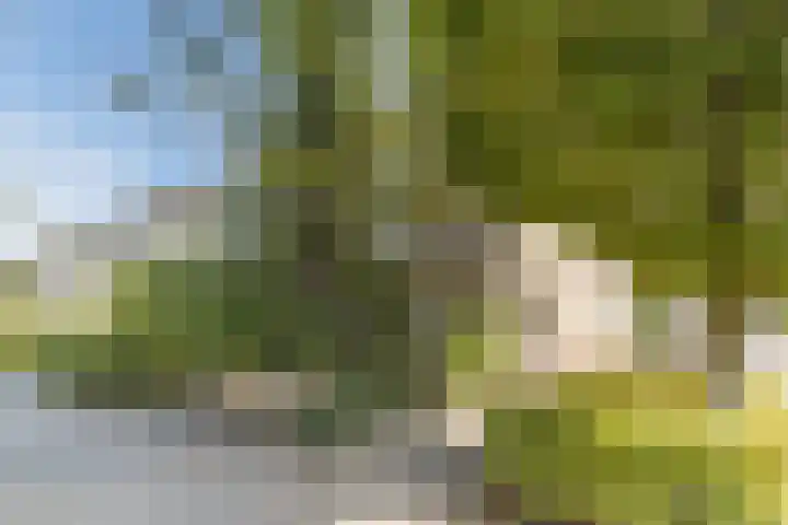 Lavendelhof 43 Oosterhout thumbnail 40