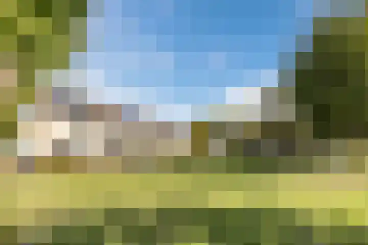 Lavendelhof 43 Oosterhout thumbnail 41