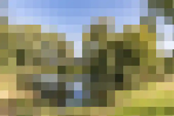Lavendelhof 43 Oosterhout thumbnail 42