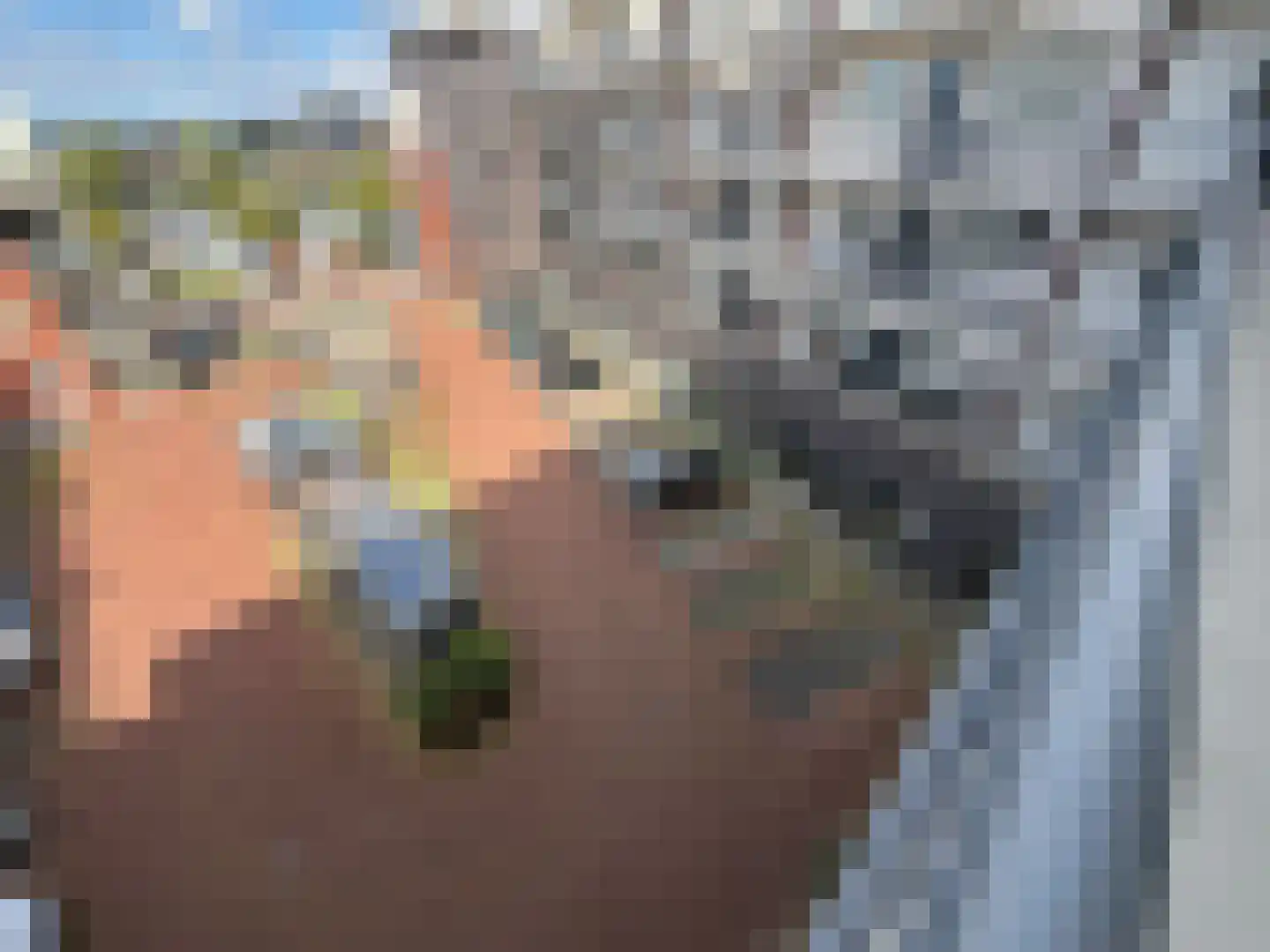 Lavendelhof 47 Oegstgeest thumbnail 34