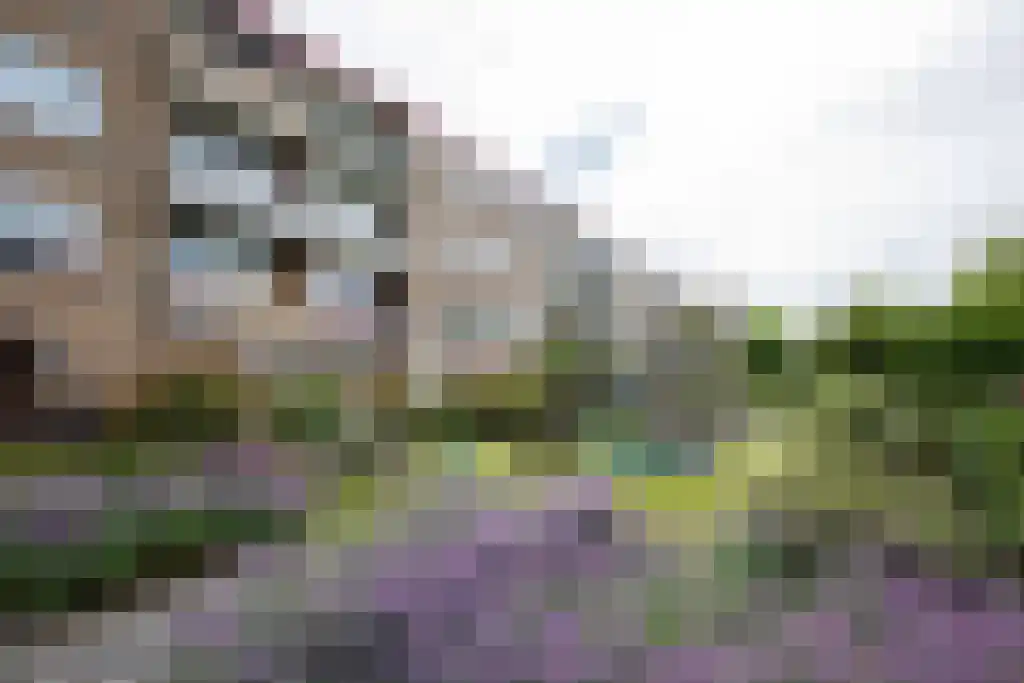Lavendelhof 52 Noordwijk thumbnail 17