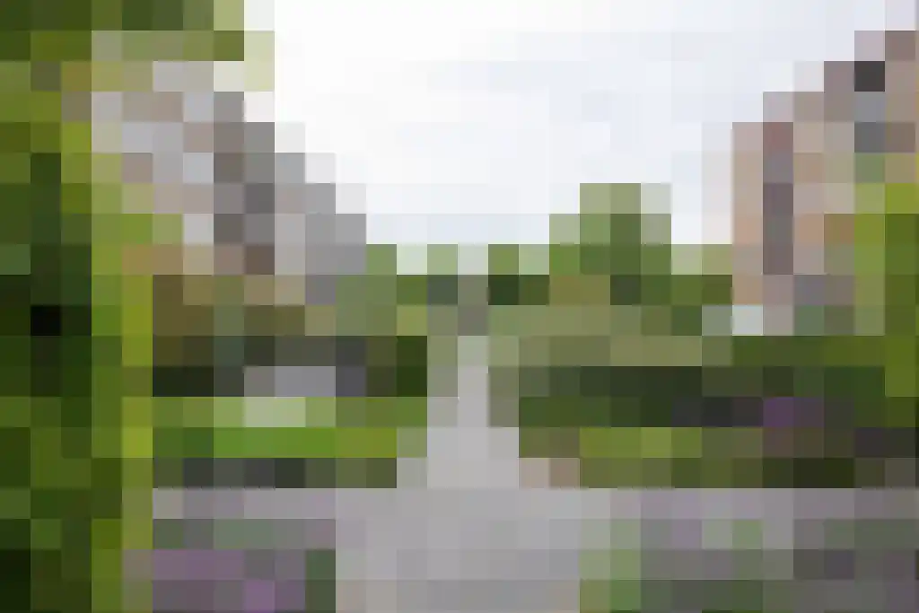 Lavendelhof 52 Noordwijk thumbnail 18