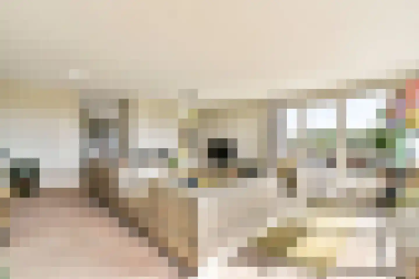 Lavendelhof 61 Oegstgeest thumbnail 12