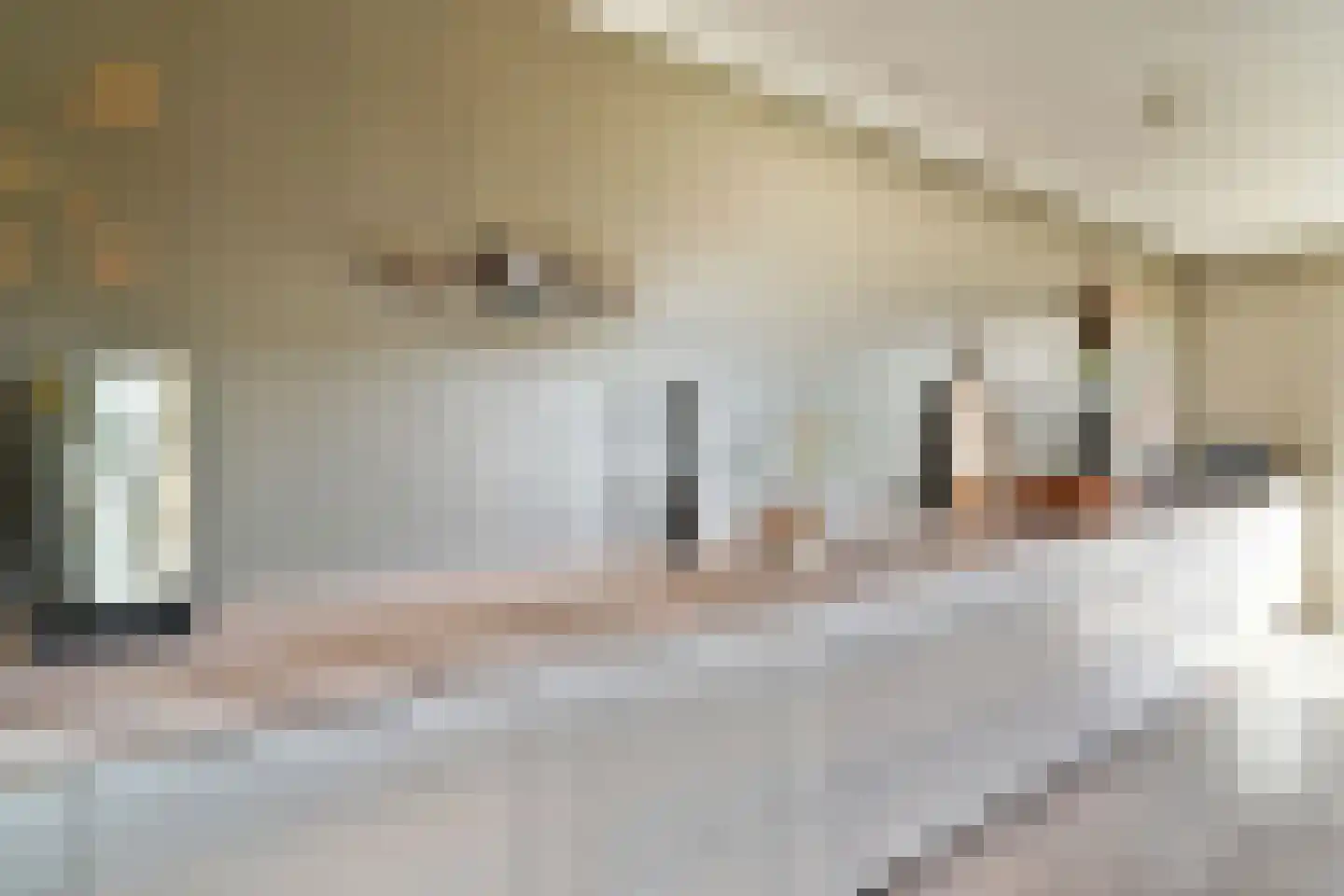 Lavendelhof 61 Oegstgeest thumbnail 17