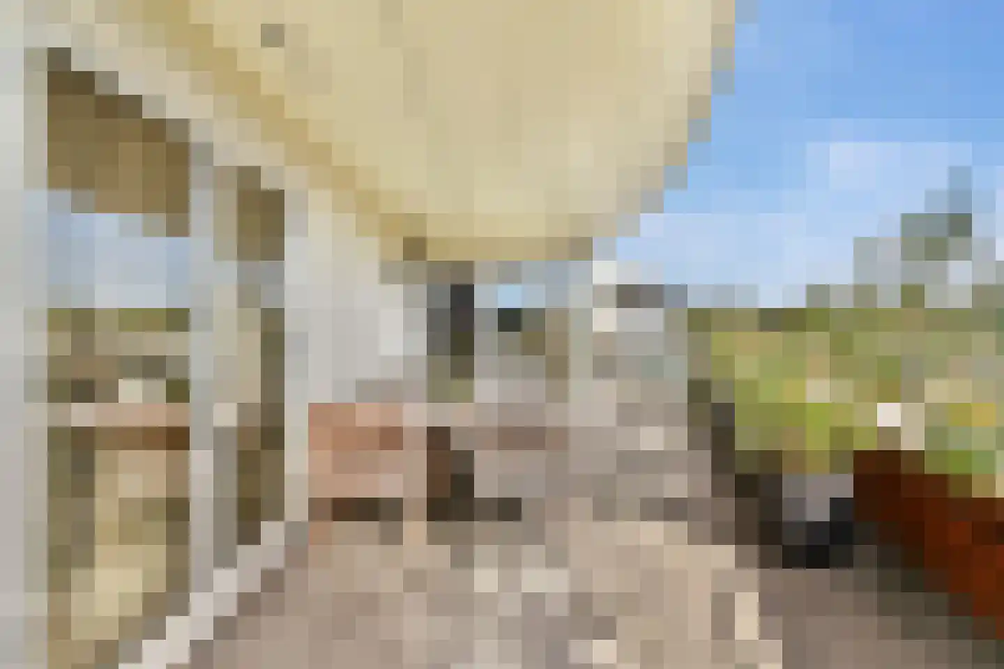 Lavendelhof 61 Oegstgeest thumbnail 18