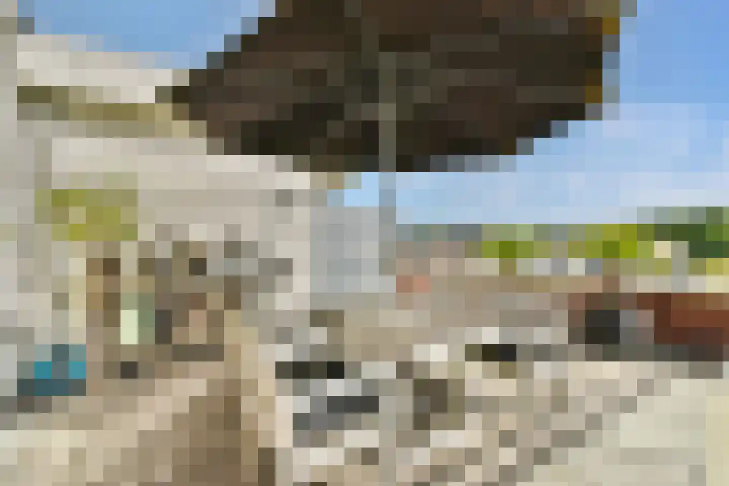 Lavendelhof 61 Oegstgeest thumbnail 19