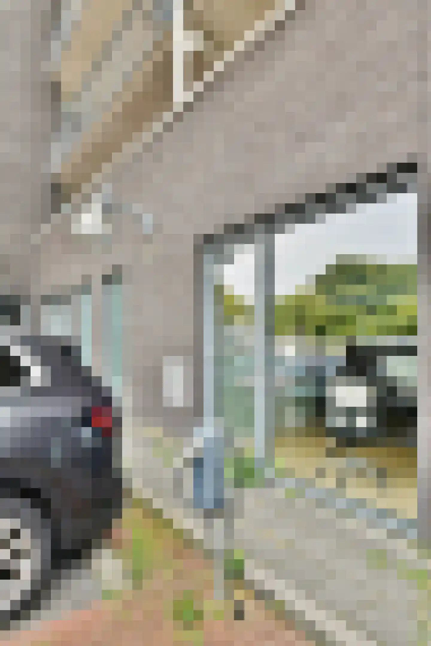 Lavendelhof 61 Oegstgeest thumbnail 31