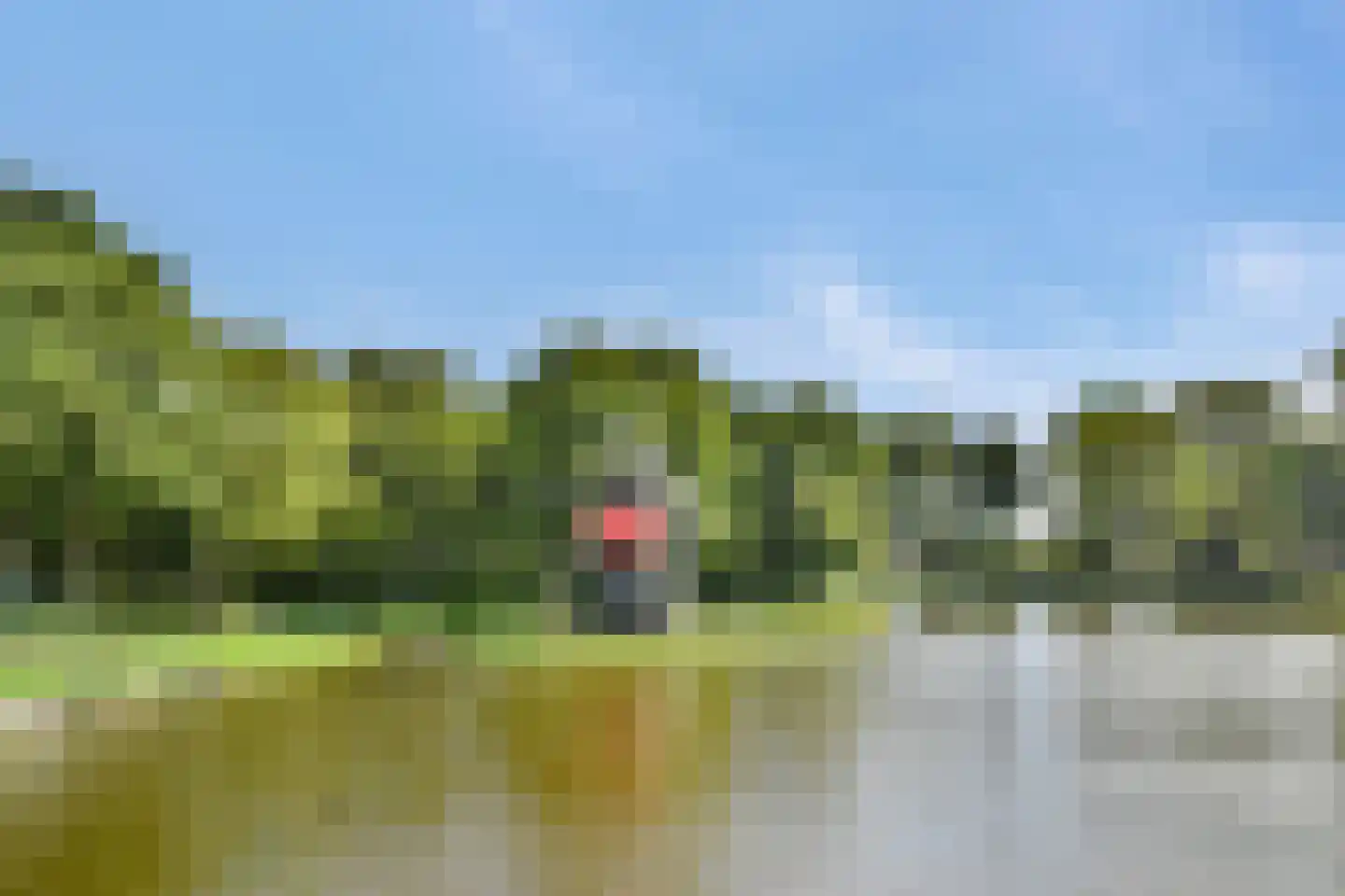 Lavendelhof 61 Oegstgeest thumbnail 32