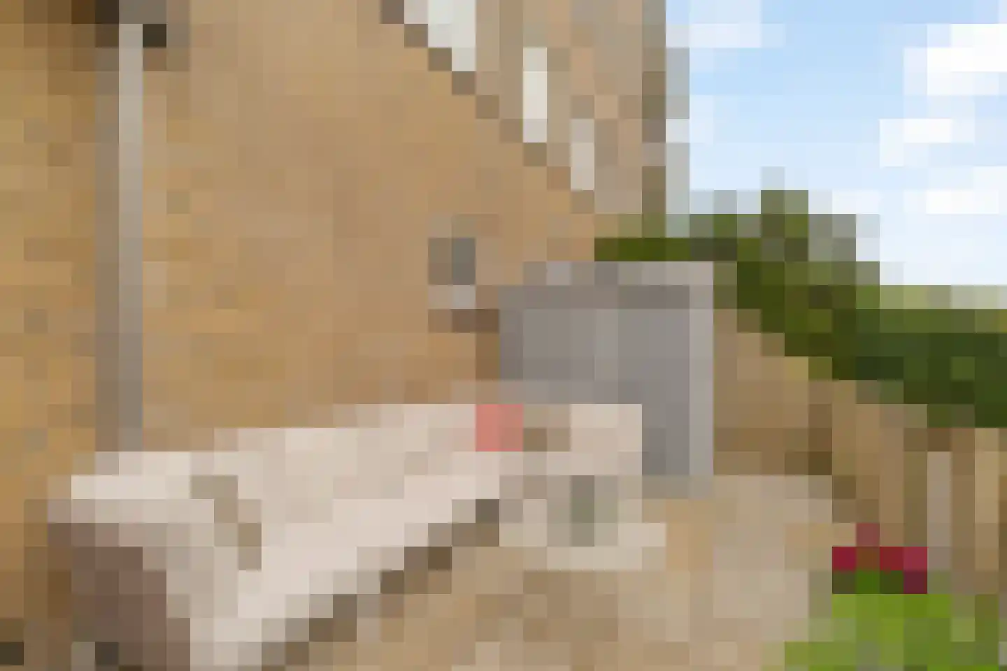 Lavendelhof 8 Noordwijk thumbnail 17