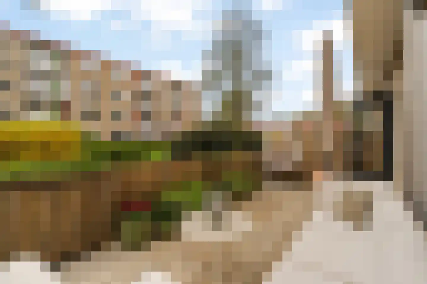 Lavendelhof 8 Noordwijk thumbnail 18