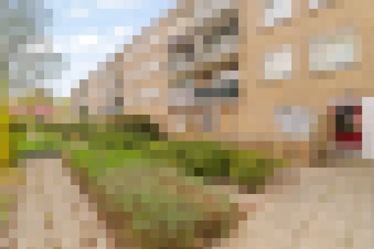 Lavendelhof 8 Noordwijk thumbnail 20