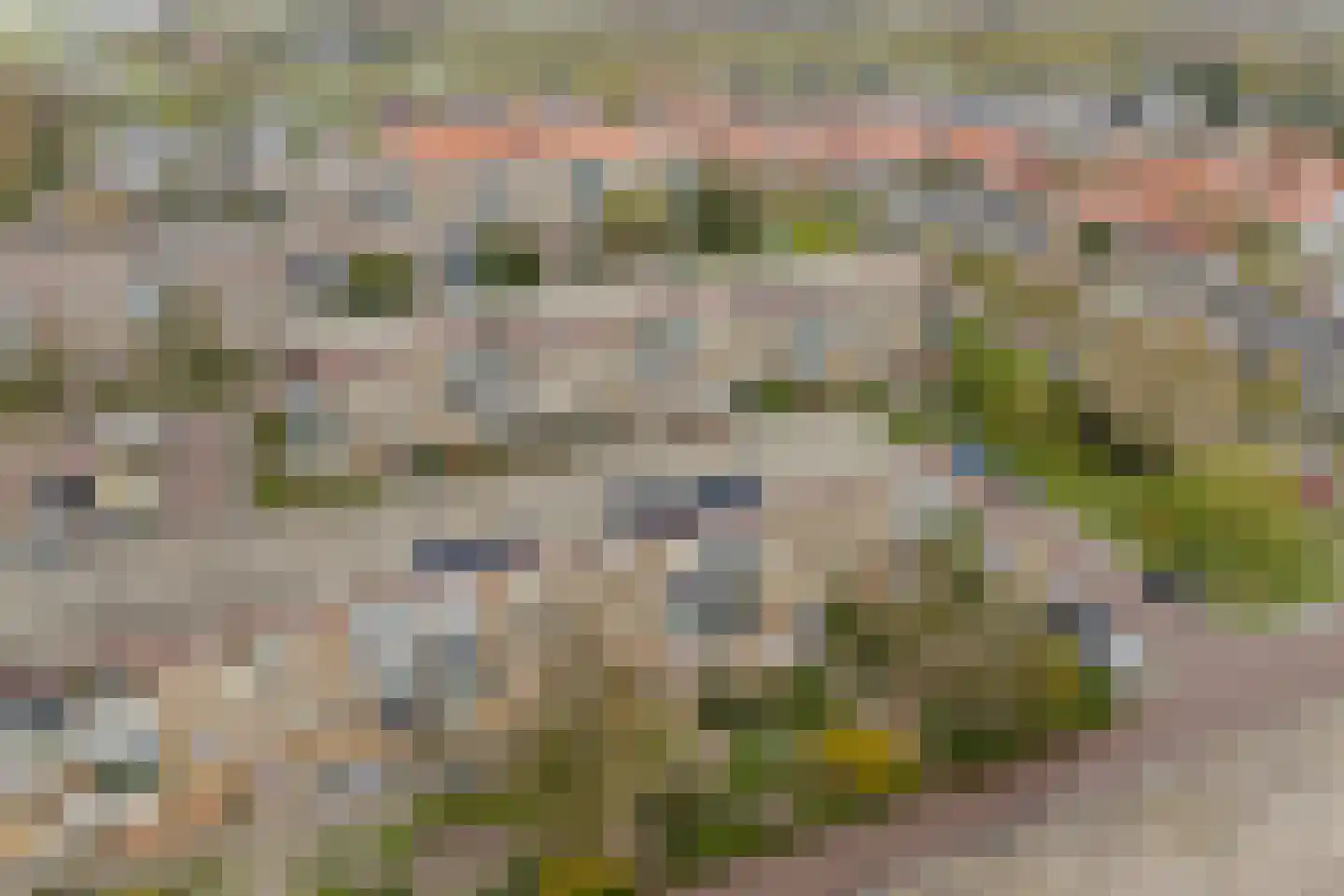 Lavendelhof 8 Noordwijk thumbnail 23