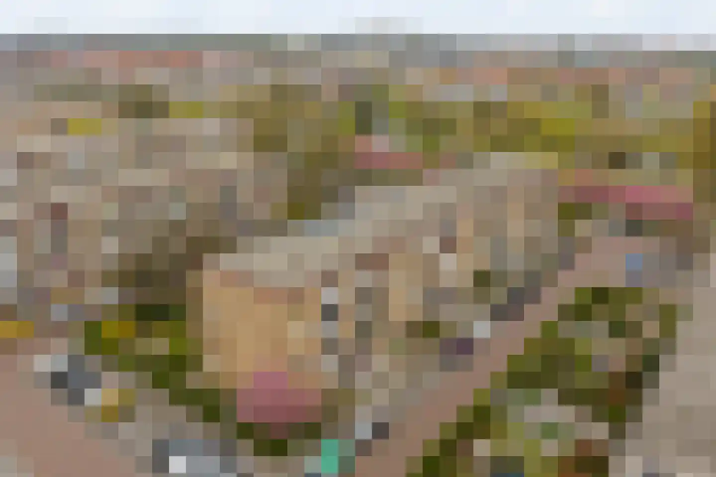 Lavendelhof 8 Noordwijk thumbnail 24