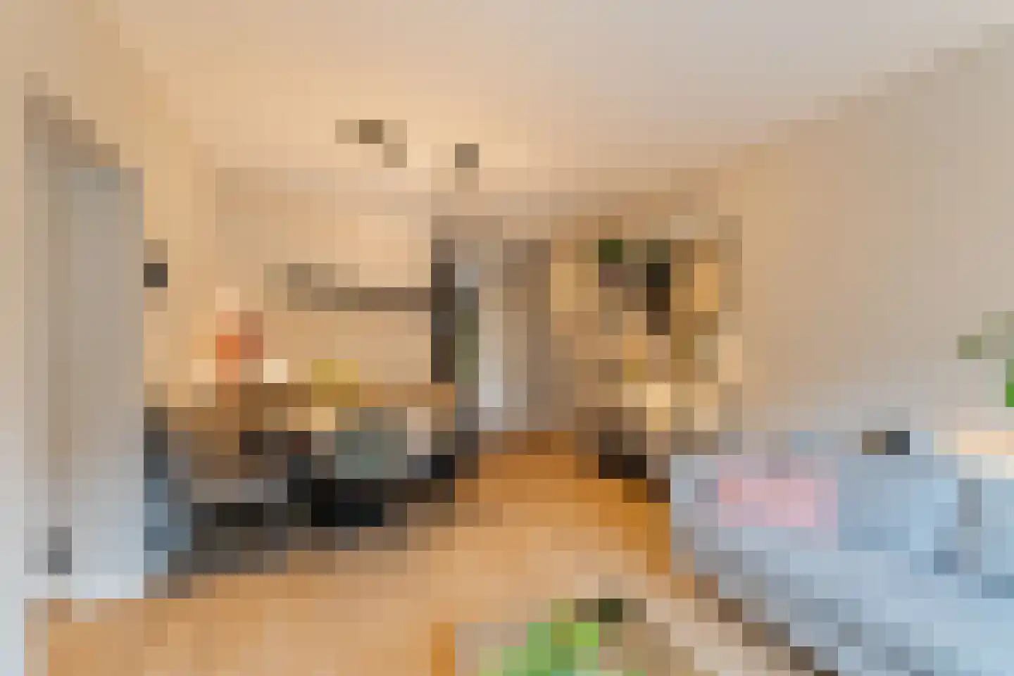 Lavendelhof 8 Noordwijk thumbnail 4